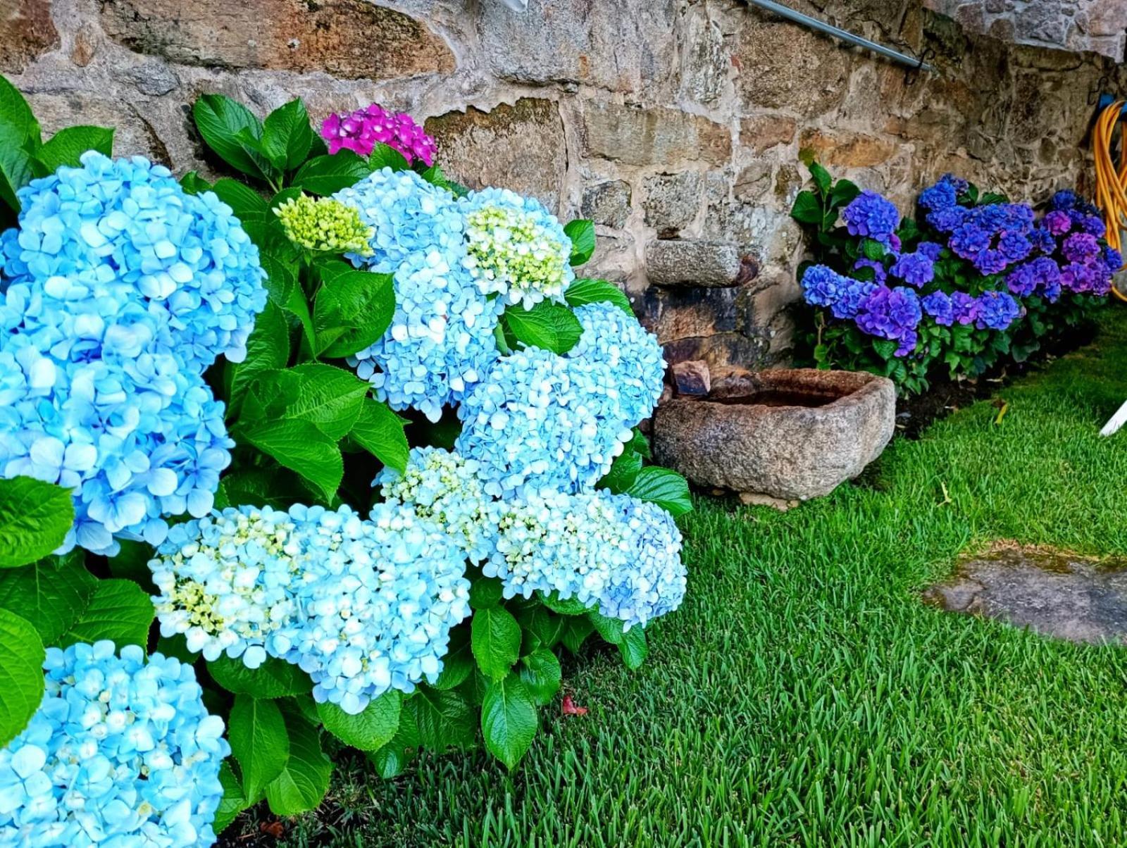 Remanso Azul Villa Moana Ngoại thất bức ảnh